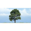 Woodland Scenics Ready Made Premium Trees Deciduous Oak 3-1/8