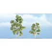 Woodland Scenics Ready Made Premium Trees Deciduous Sycamore 2-7/8 & 2-3/8