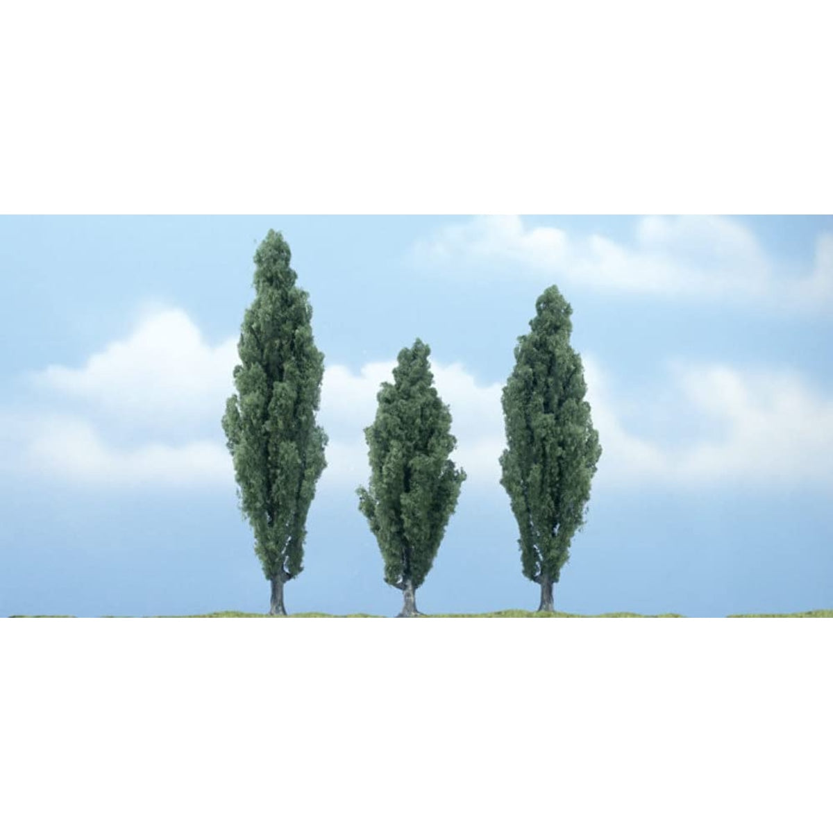 Woodland Scenics Ready Made Premium Trees Poplar 1 Each: 3-1/2, 4 & 4-1/2