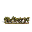 Woodland Scenics Woodland Classics Hedge Row Ready Made Trees 7-3/4 x 1 to 2