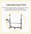 Adjustable Workout Bench with Weight Sets