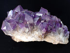 XL Amethyst Cluster with Phantom Zoning – Congo 23 lbs, 12.5