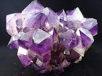 XL Amethyst Cluster with Phantom Zoning – Congo 23 lbs, 12.5