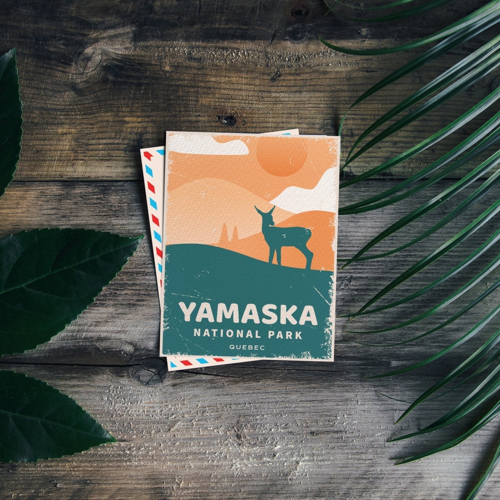 Yamaska Quebec National Park Postcard, Canada Parks