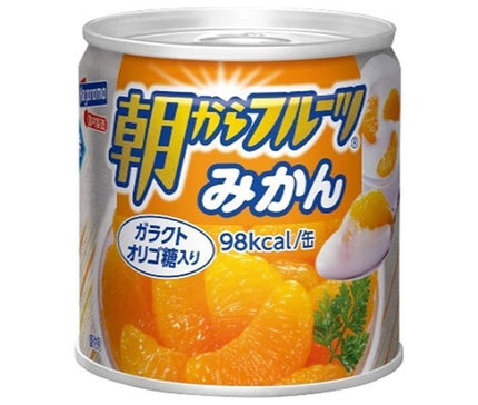 Hagoromo Foods Morning Fruit Mandarines Oranges Boîte de 190 g x 24 pièces 