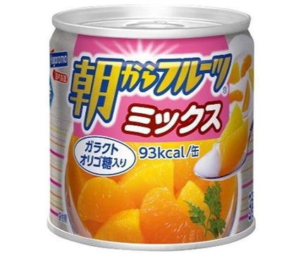 Hagoromo Foods Mélange de fruits du matin, boîte de 190 g x 24 pièces 