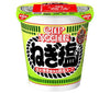 Nissin Foods Cup Noodles Sel d'Oignon Vert 76g x 20 pièces 