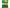 プロッシモ マカロニペンネ 早ゆでタイプ 200g×24袋入