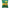 プロッシモ マカロニフジリ 早ゆでタイプ 200g×24袋入