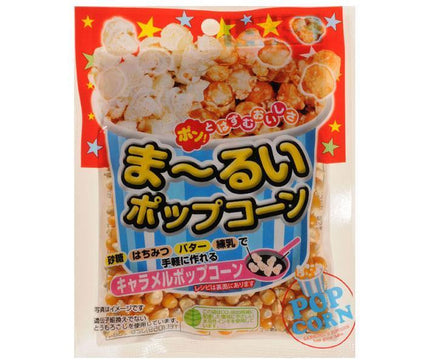 Sankoku round popcorn 100g x 10 bags 