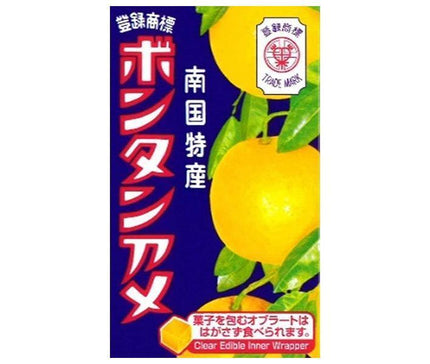 セイカ食品 ボンタンアメ 10粒×10個入