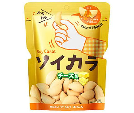 大塚製薬 ソイカラ（SoyCarat） チーズ味 27g×18袋入