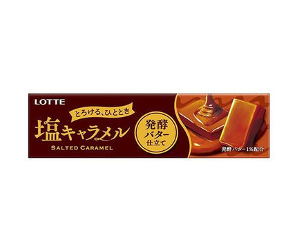 Lotte Salted Caramel with Fermented Butter, 10 pieces x 10 pieces 