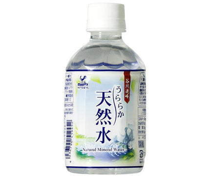 Tominaga Trading Kobe Settlement Urara Natural Water 280ml PET Bottle x 24 