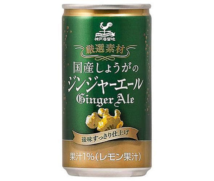 Tominaga Trading Kobe Settlement Ginger ale au gingembre domestique, canettes de 185 ml x 20 bouteilles 