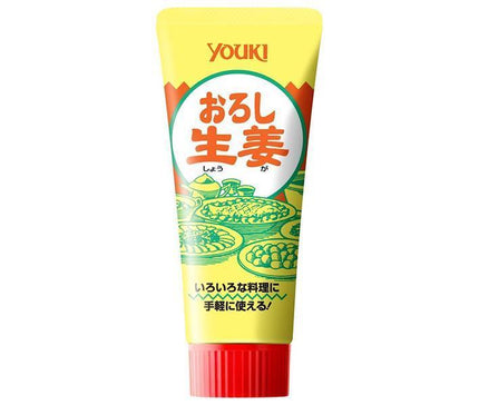 Yuuki Foods Gingembre Râpé Tube 80g x 10 pièces 