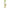Yuuki Foods Organic Sparkling Elderflower 250ml bottle x 12 