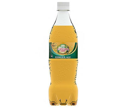 Coca-Cola Canada Dry Ginger Ale 700ml plastic bottle x 20 