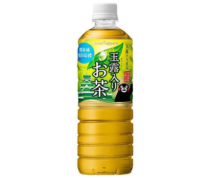 Thé Pokka Sapporo Gyokuro bouteilles en plastique de 600 ml x 24 bouteilles 