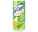 [11/25~ 10% off all products!!] Sangaria Melon Soda 250g can x 30 cans