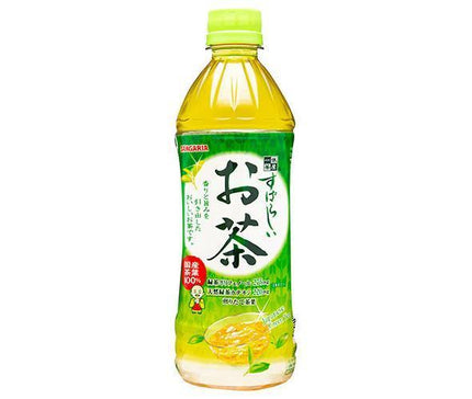 サンガリア すばらしいお茶 500mlペットボトル×24本入