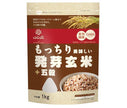 Hakubaku Delicious and Chewy Sprouted Brown Rice + Five Grains 1kg x 6 Bags 