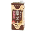 Kyushu Dairy Green Soy Milk Boisson Malt Café 1000 ml paquet de papier x 6 pièces 