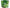 Phiten Jus Vert de Mûrier Indigestible Dextrine Plus 230g x 1 sachet 
