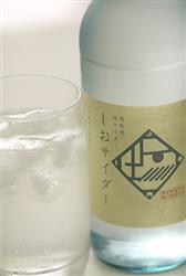 Ante(アンテ) 奥能 登地サイダー しおサイダー 340ml瓶×24本入【日本出荷】
