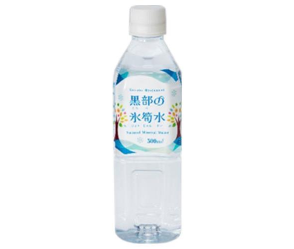 KEPCO Real Estate Development Kurobe Ice Bamboo Water 500ml PET Bottle x 24 Bottles 