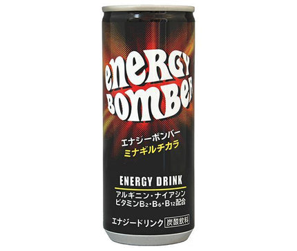 Hoseki Beverage Energy Bomber 250ml can x 30 cans 