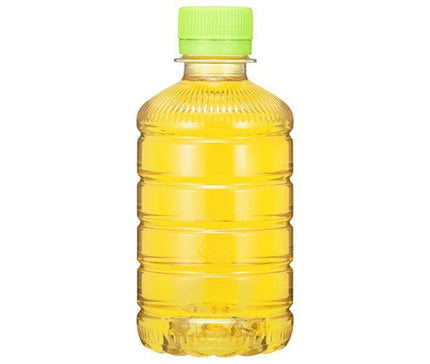 Thé vert Itoen Oi Ocha sans étiquette bouteille PET de 280 ml x 24 pièces 