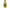 Tomomasu Drinks Durian Cider 300ml bottle x 24 bottles 