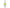Tomomasu Drink Hotaru no Sato Natural Water Sparkling Lemon 500ml PET Bottle x 24 Bottles 
